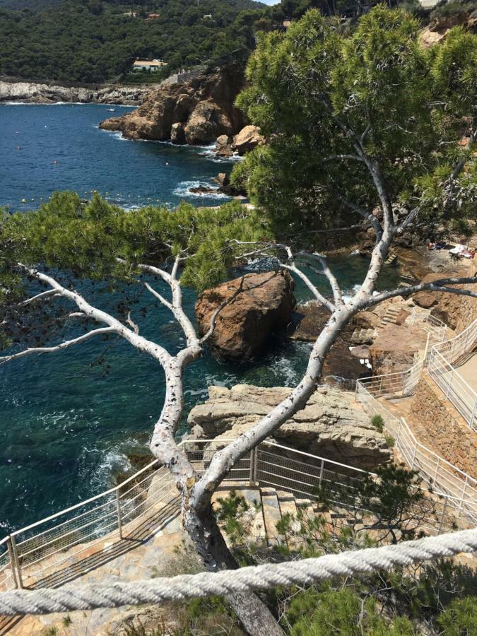 Ferienwohnung Cap Sa Sal - Sa Roca 2 Begur Exterior foto