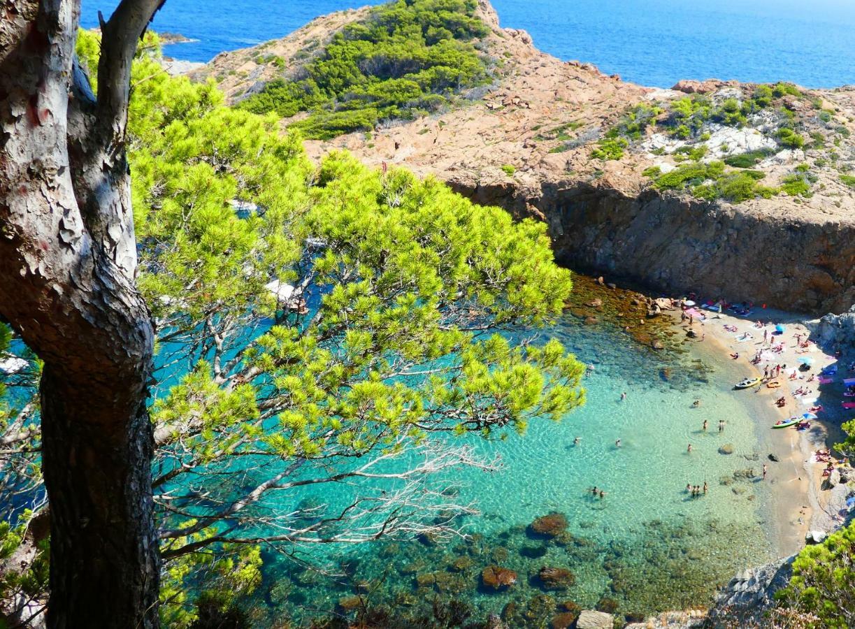 Ferienwohnung Cap Sa Sal - Sa Roca 2 Begur Exterior foto